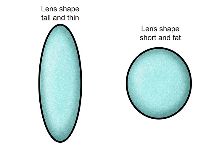 When the lens is short and wide you can see short distances, if it is long and thin is for longer distances